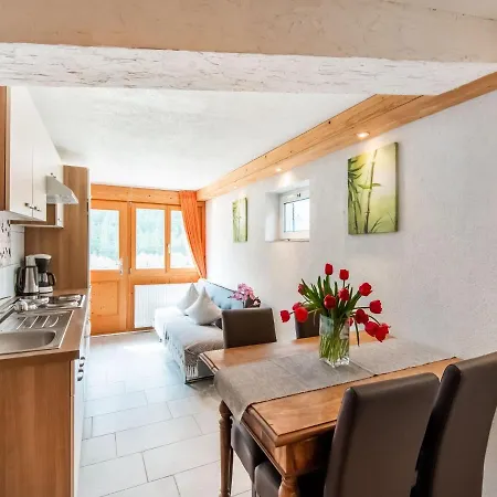 Appartement In Near Slopes Sankt Gallenkirch