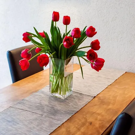 Apartment In The Silvretta-montafon Area Sankt Gallenkirch