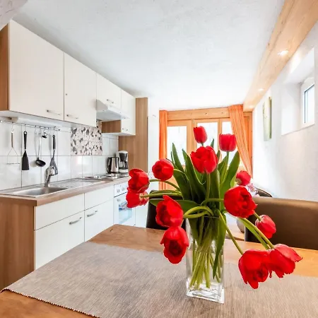 Apartment In The Silvretta-montafon Area *