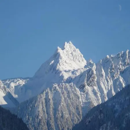 Apartment In The Silvretta-montafon Area *